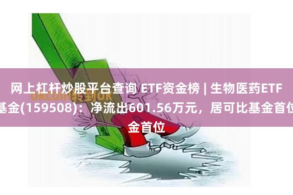网上杠杆炒股平台查询 ETF资金榜 | 生物医药ETF基金(159508)：净流出601.56万元，居可比基金首位