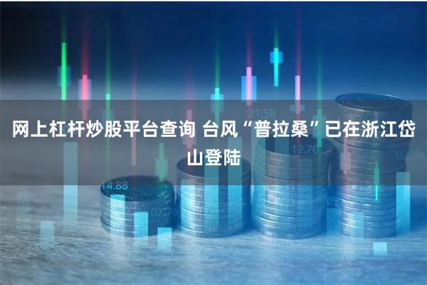 网上杠杆炒股平台查询 台风“普拉桑”已在浙江岱山登陆