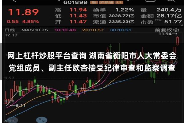 网上杠杆炒股平台查询 湖南省衡阳市人大常委会党组成员、副主任欧杏接受纪律审查和监察调查