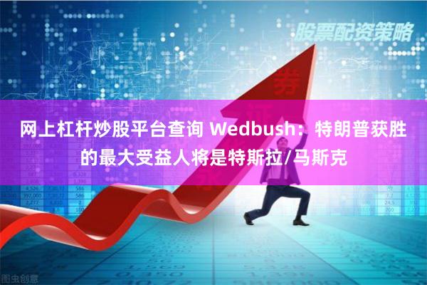 网上杠杆炒股平台查询 Wedbush：特朗普获胜的最大受益人将是特斯拉/马斯克