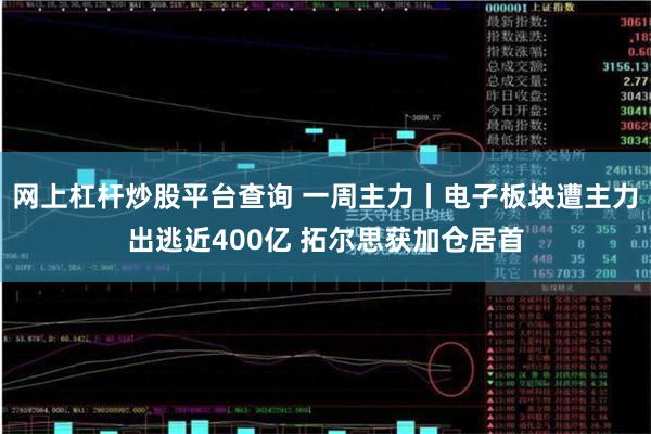网上杠杆炒股平台查询 一周主力丨电子板块遭主力出逃近400亿 拓尔思获加仓居首