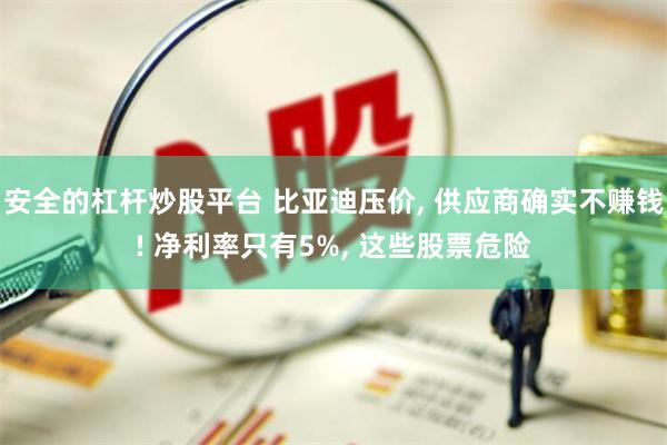 安全的杠杆炒股平台 比亚迪压价, 供应商确实不赚钱! 净利率只有5%, 这些股票危险