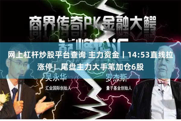 网上杠杆炒股平台查询 主力资金丨14:53直线拉涨停！尾盘主力大手笔加仓6股