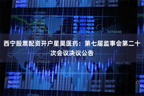 西宁股票配资开户星昊医药：第七届监事会第二十次会议决议公告