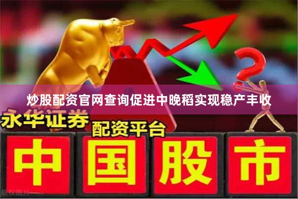 炒股配资官网查询促进中晚稻实现稳产丰收